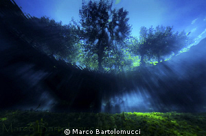 Posta Fibreno Lake Italy by Marco Bartolomucci 